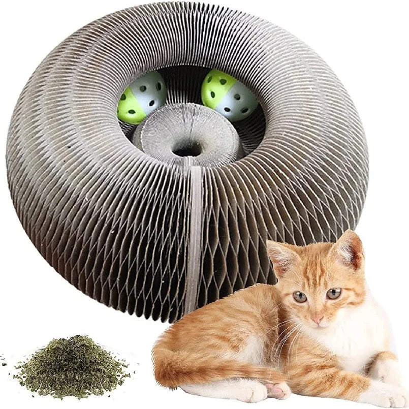Foldable Magic Cat Scratching Board & Bed - Durable, Eco-Friendly Interactive Scratch Toy for Kittens