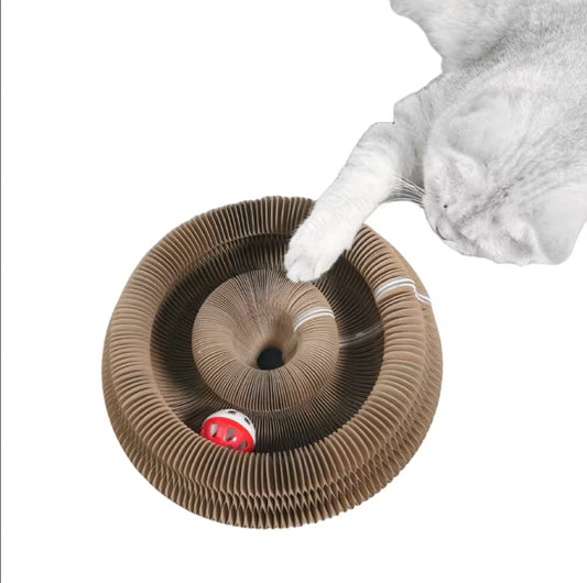 Foldable Magic Cat Scratching Board & Bed - Durable, Eco-Friendly Interactive Scratch Toy for Kittens