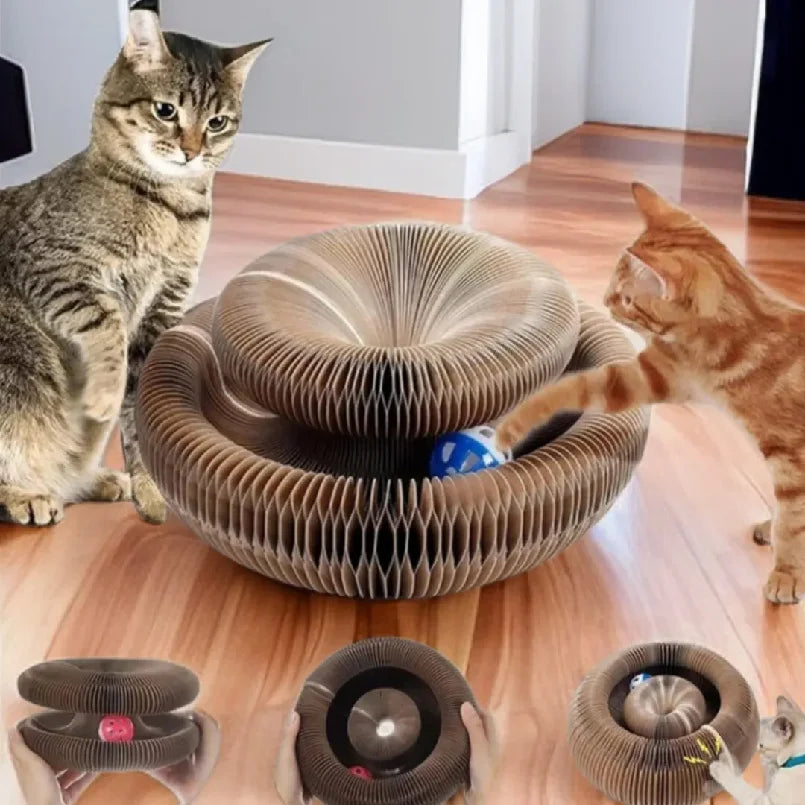 Foldable Magic Cat Scratching Board & Bed - Durable, Eco-Friendly Interactive Scratch Toy for Kittens