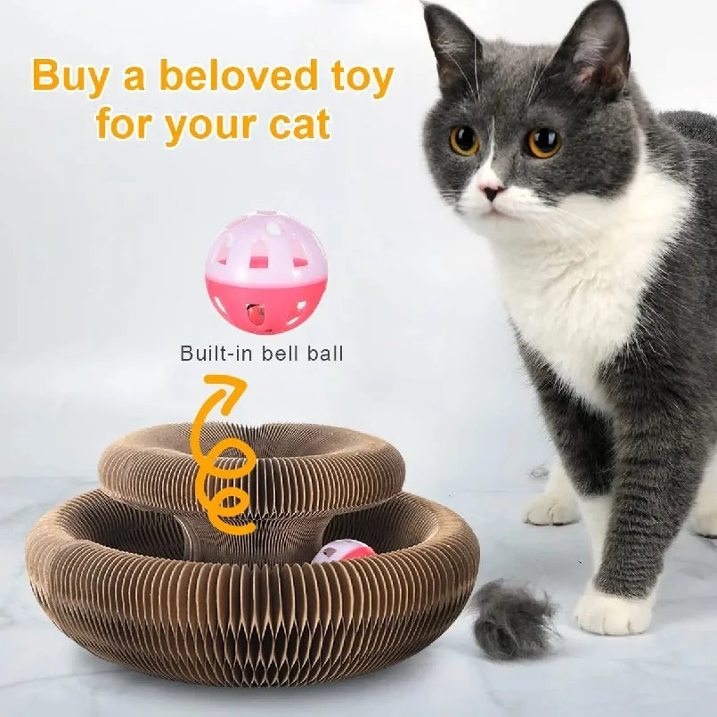 Foldable Magic Cat Scratching Board & Bed - Durable, Eco-Friendly Interactive Scratch Toy for Kittens